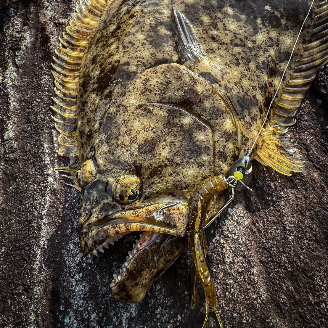 根魚狩りフック（#2,#1,#1/0,#2/0,#4/0） | RUDIE'S WEB SHOP