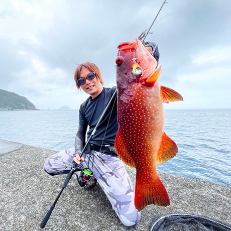 魚子ラバ（どチャート）