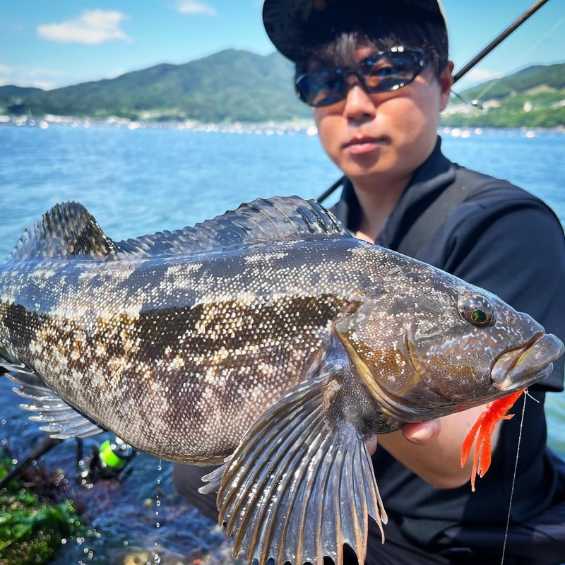 ロックゲームシンカーアソートパック(20,25,30g) | RUDIE