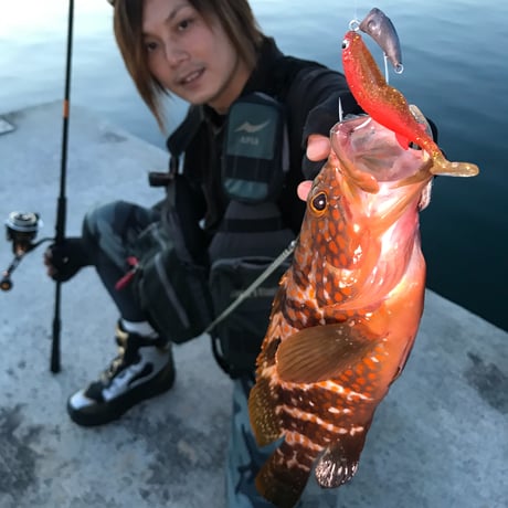ハタ喰い・魚子（3.5inch,4.0inch）イワシ