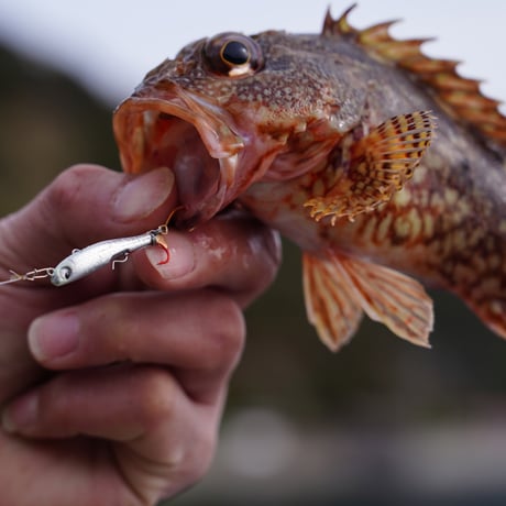 魚子メタル貫き（ヘッドベリーグロー）