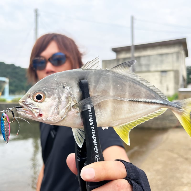魚子メタル(キンアジゴ)5.0g,7.0g,10g | RUDIE'S WEB 魚子メタル(キンアジゴ)5.0g,7.0g,10g | RUDIE'S WEB