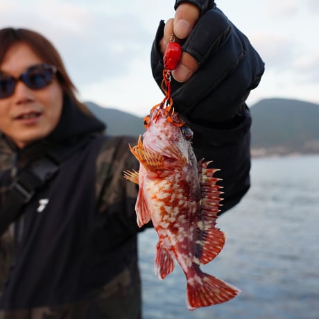魚子ラバ（UVオレンジグロー）