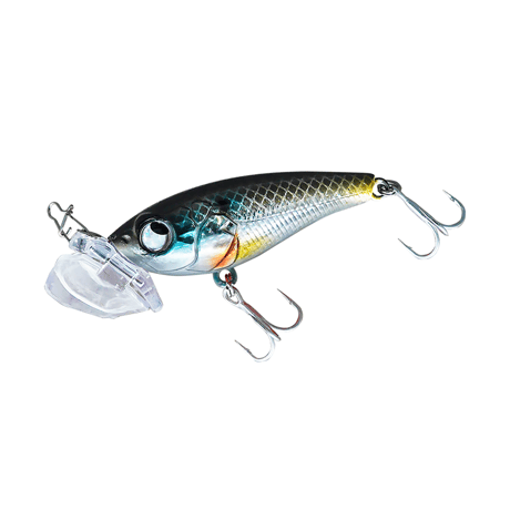 トップチヌプラグ11個セット メガバス チヌ トップルアー最新情報 | Megabass-メガバス
