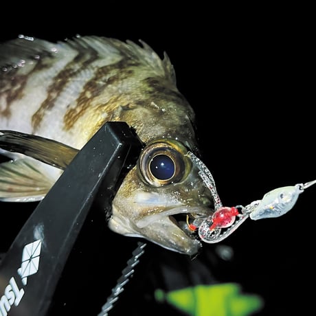 魚子チク（ブルピン）