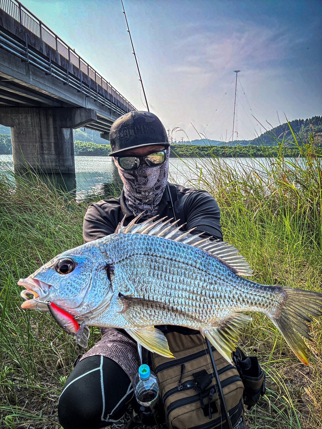 遊神チヌSP　様　確認ページ❗ 遊神チヌSP 様 確認ページ❗ 6699.jp (@6699_jp) / X