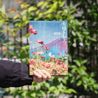 横澤進一『太陽ドレス』