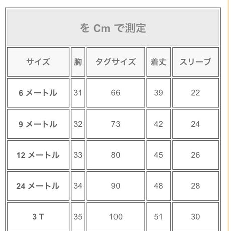 いちご刺繍チュールワンピース(825)