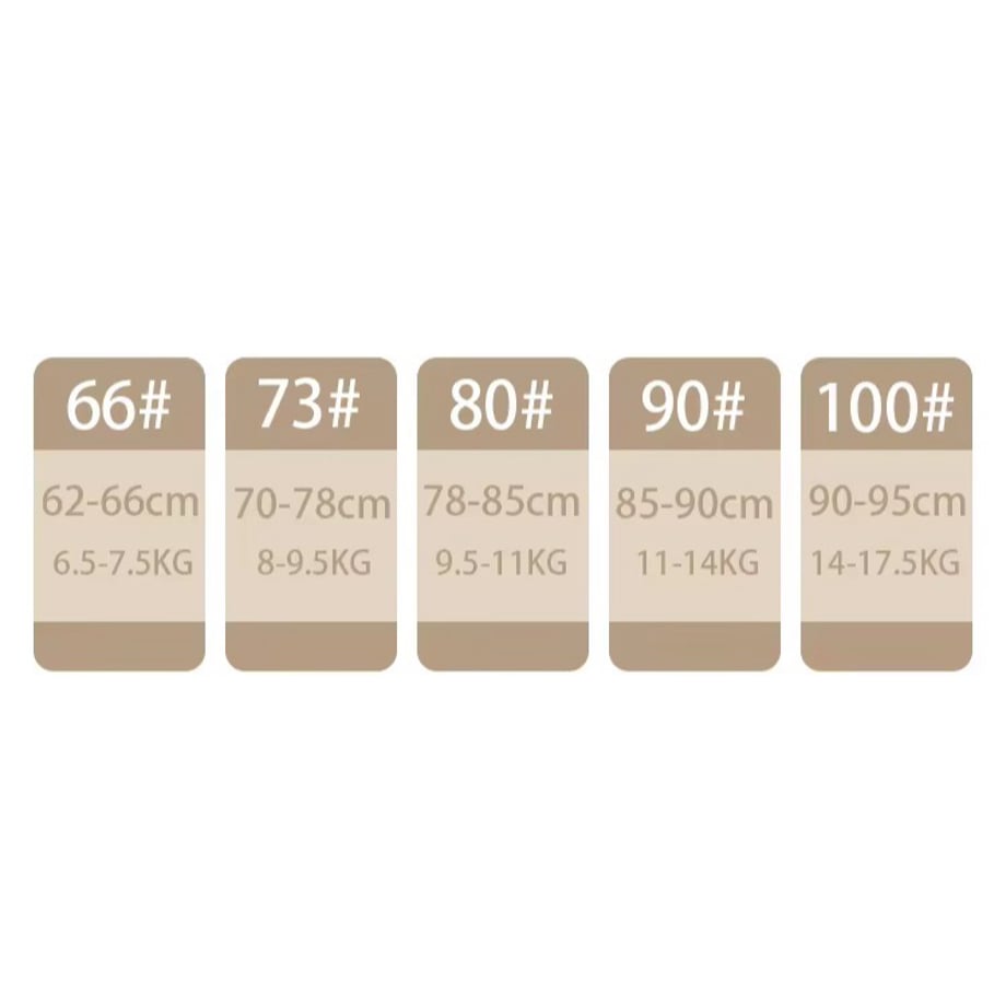66c5d428b4ac7405d550fb79