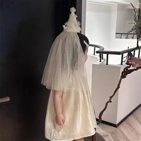 weddingパーティーハット(1698)