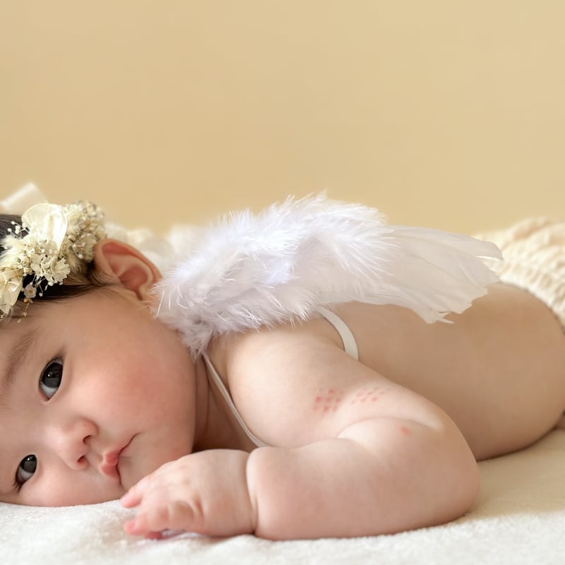 DEPARTMENT BABIES 天使 セット DEPARTMENT SNOWBABIES 天使 セット