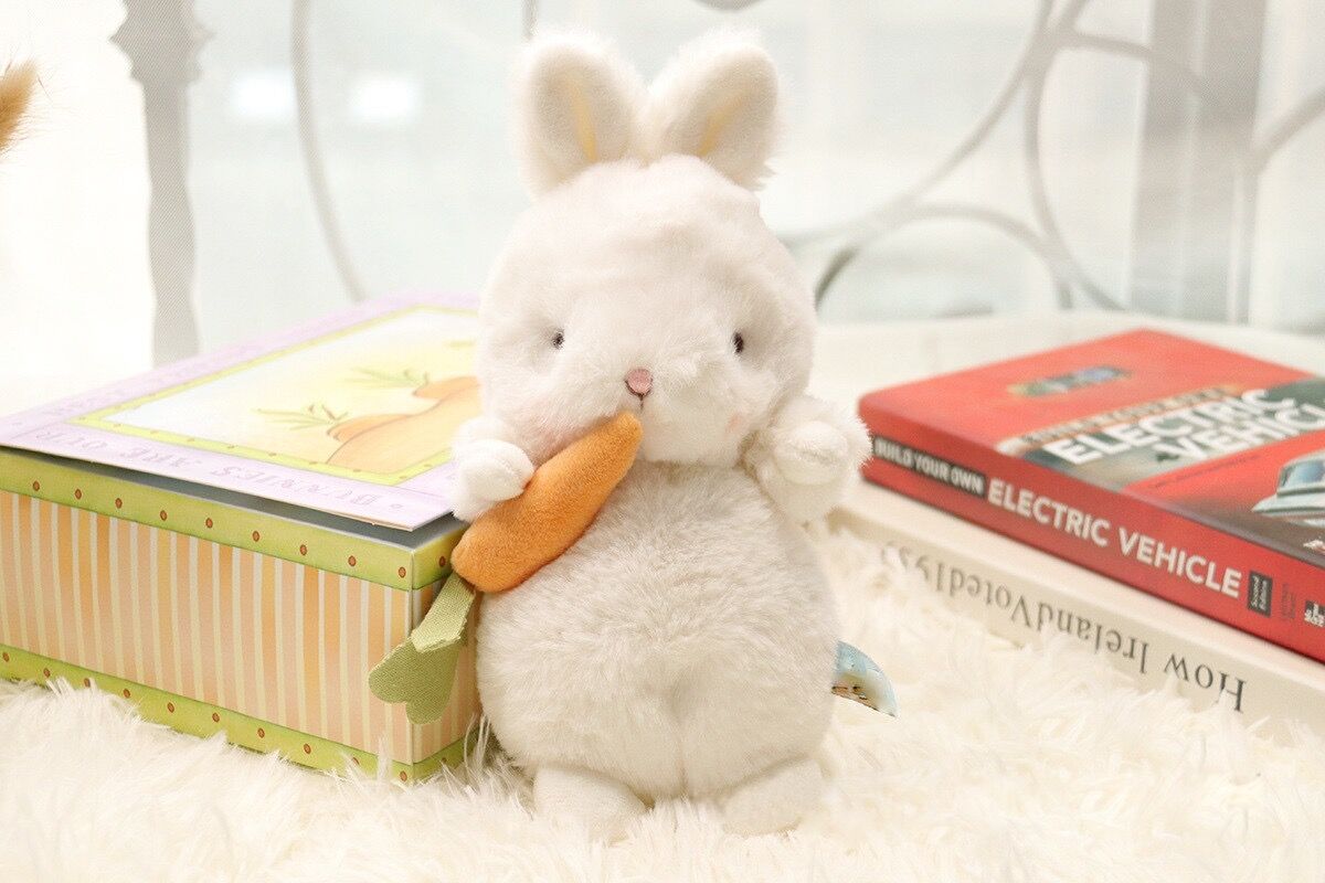 CUBE!うさちゃん(ニンジン付き)