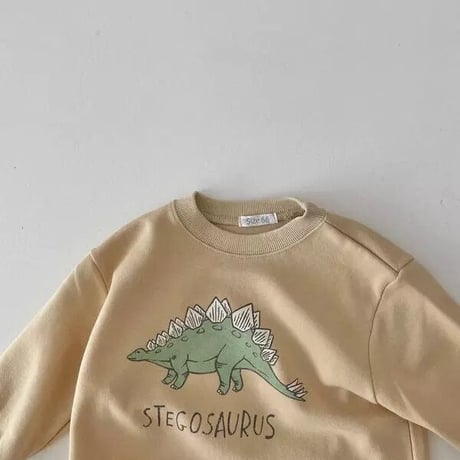 パステルステゴサウルス×トリケラトプス×ティラノサウルスロンパース(2533)