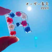 オーダー専用ページ】 | TricoloreDaisy