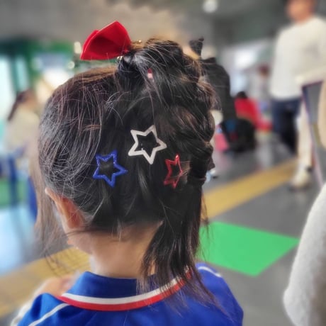 CATEGORY ヘアアクセサリー | TricoloreDaisy