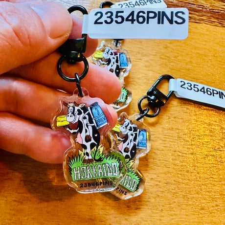 23546PINS®︎ 23546PINS®︎