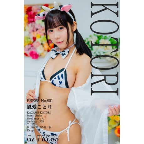 ❤️きらり❤️専用 kazamekotori | STORES