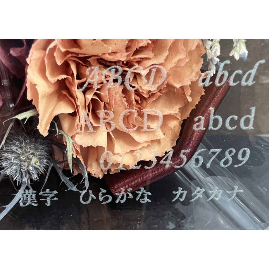 6423d5dfa7f9cb002aee71da