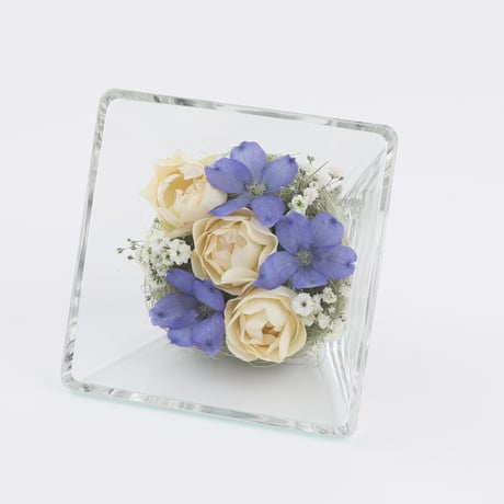 fit=cover,w=460,h=460