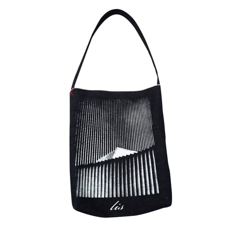 Kaisei Yamaguchi City Texture 2019 LIS BAG