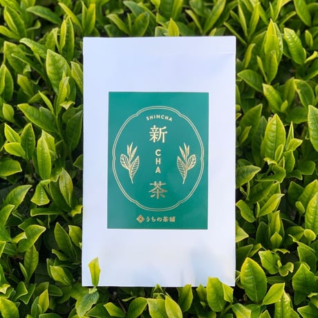 2026年 新茶