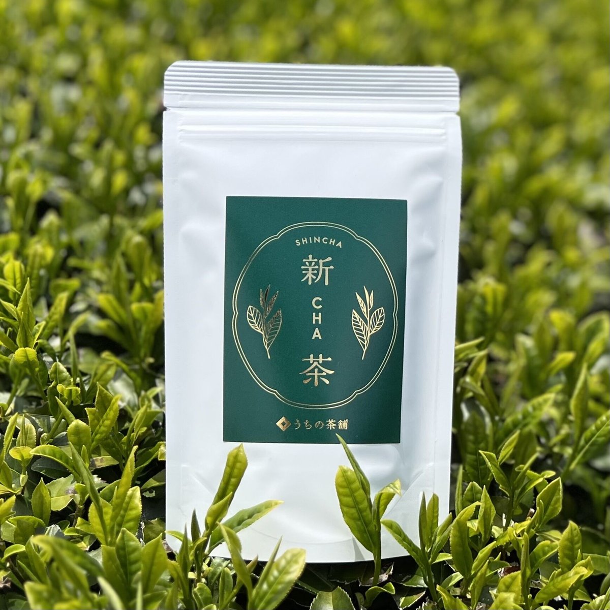 2024年 新茶(ティーバッグタイプ) | うちの茶舗 2024年 新茶(ティーバッグタイプ) | うちの茶舗