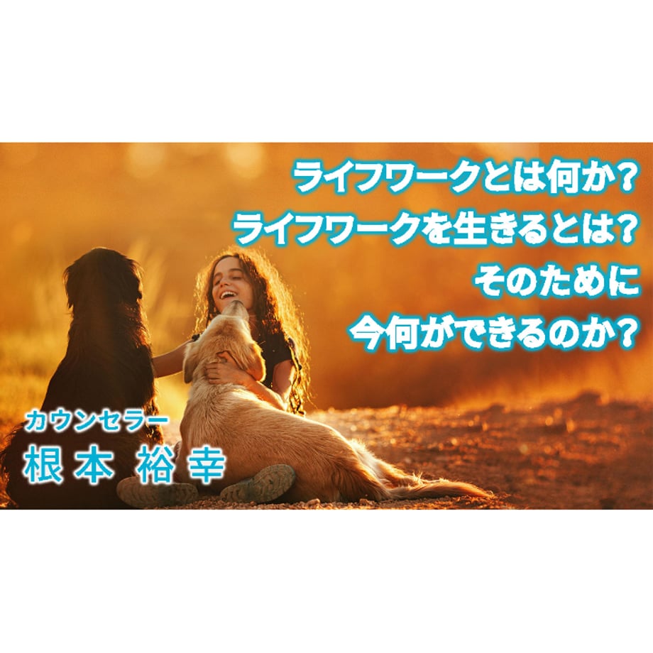 66c2a1a66c33ac003a3d6805