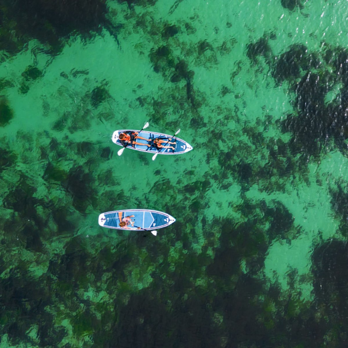 NATIVE特典付き！四尾連湖 即お渡し可能商品！TAHE一番の安定感&お手頃