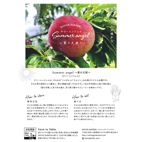 送料無料 2025年7月発送先行予約！甘々すもも 『夏の天使』サマーエンジェル南アルプスNATIVE畑から 送料無料の直送！８〜１０玉（１kg以上）