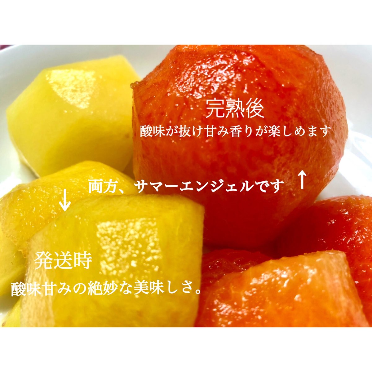 無糖タイプごろっとすもも（サマーエンジェル）ジャム無糖無花果ジャム
