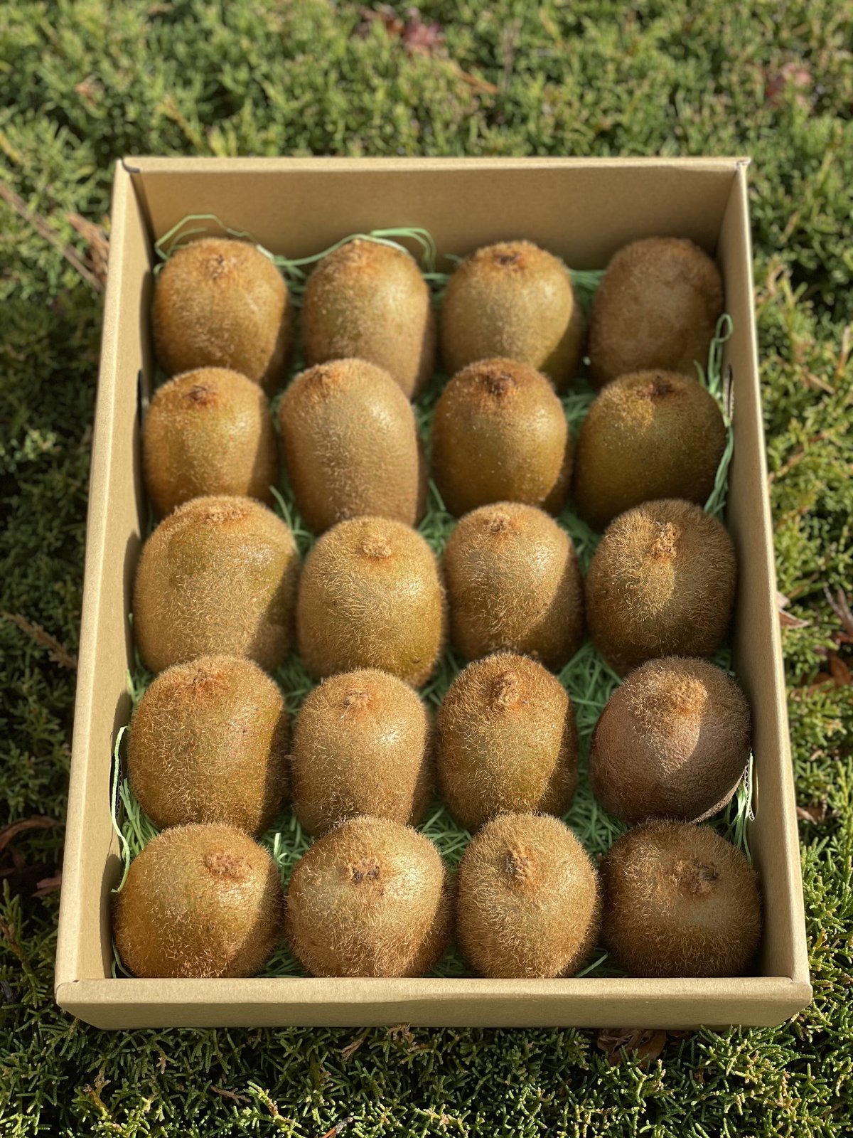 fit=scale-down,w=1200