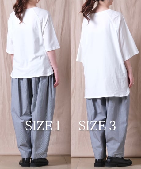 【TISSU】接触冷感マルチエフェクト天竺　ラグランTシャツ(2サイズ展開）