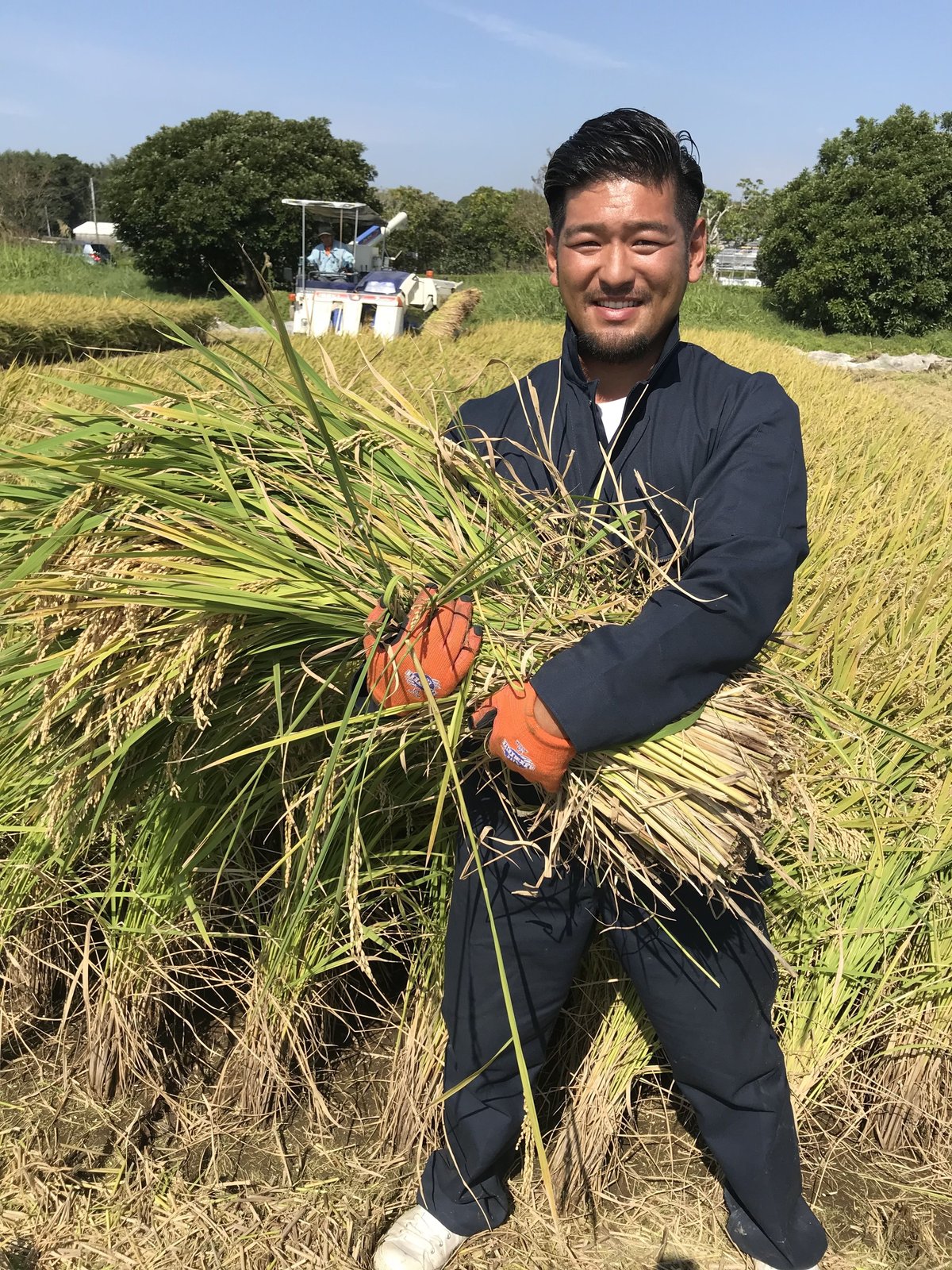最も優遇 森のくまさん 20kg | 大本商店 米・雑穀・粉類