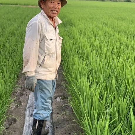 ヒノヒカリ　１０kg