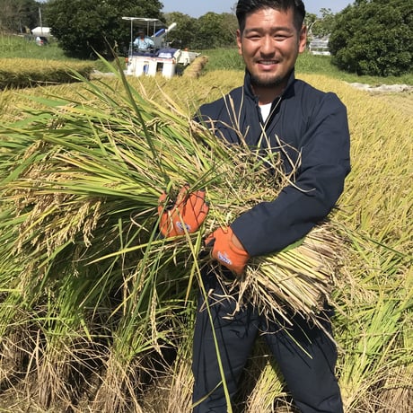 ヒノヒカリ　１０kg