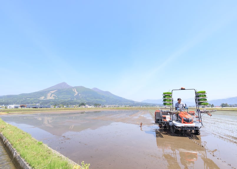 プレミアム：ぴかまる：玄米30キロ | 会津猪苗代カンダファーム