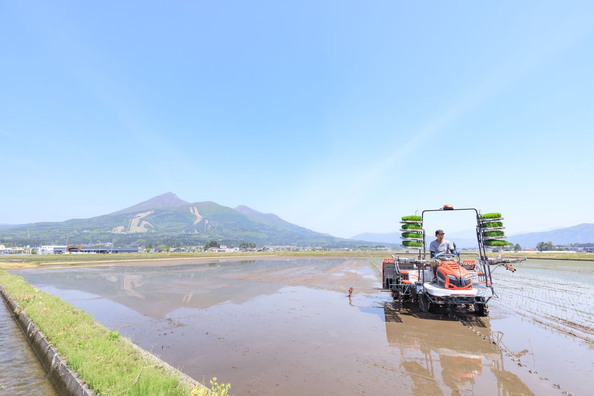 日本一のお米：ゆうだい21：玄米30キロ/白米26キロ | 会津