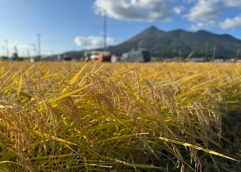 プレミアム：コシヒカリ：玄米30キロ/白米26キロ | 会津猪苗代カンダ