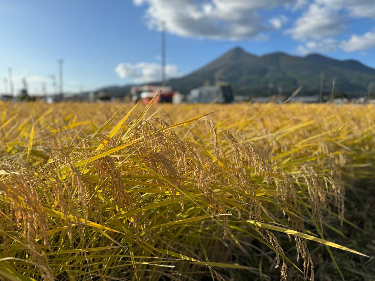 プレミアム：ぴかまる：玄米30キロ | 会津猪苗代カンダファーム