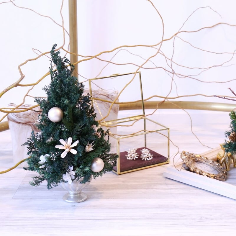 christmas evel リノ4枚 Member's Mark 48