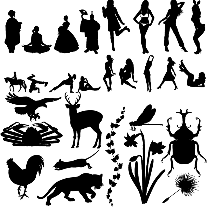 シルエットコレクション | フロップデザイン