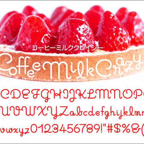 フォントスタイルズ　39フォント収録の欧文フォント集