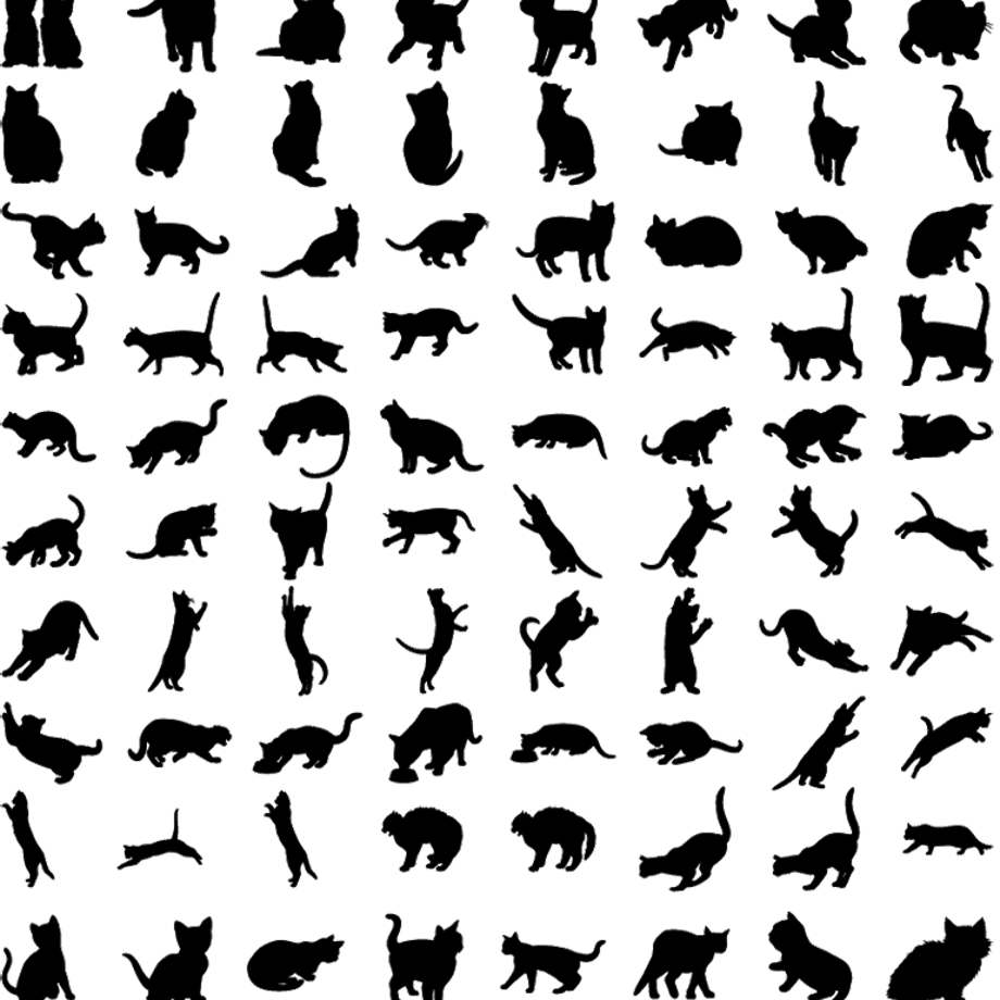 5c12ef3f2a28624c41cfb3dd