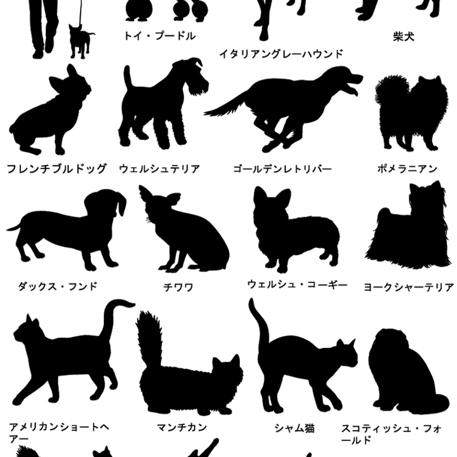 5c12ef3f2a28624c41cfb3dd