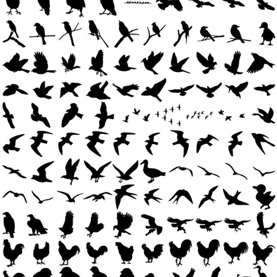 5c12ef0fc49cf3560da60b7d