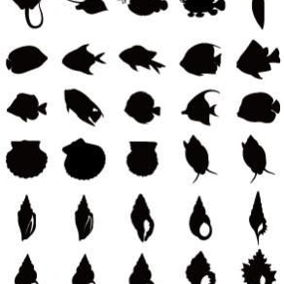 5c1100b8c49cf31634dcfeea