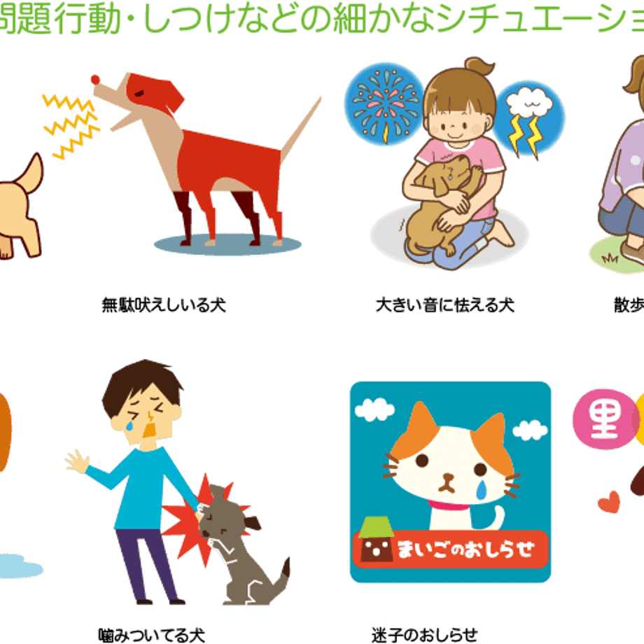 5c175a0fd0693b75acc30a62