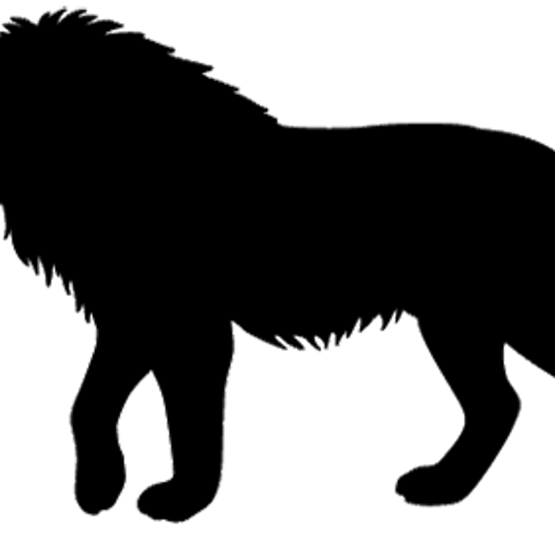 シルエットコレクション | フロップデザイン