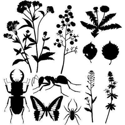 シルエットコレクション | フロップデザイン