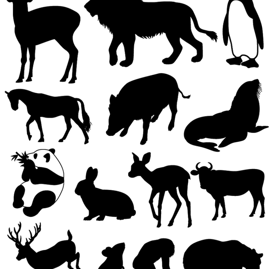 5c1101fbc49cf3075ddcf9ff